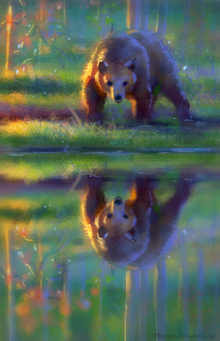 Water, Art, Reflection, Brown, Bear HD phone wallpaper