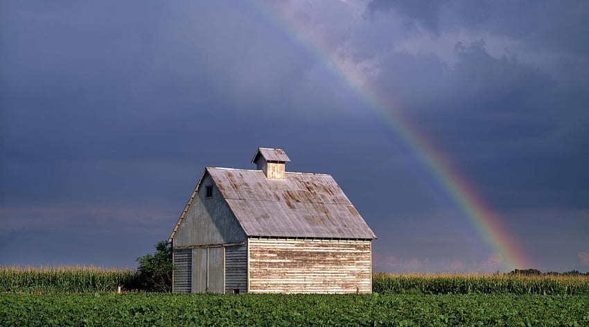 rainbow over barn in a corn field in illinois, clouds, barn, rainbow, corn field HD wallpaper