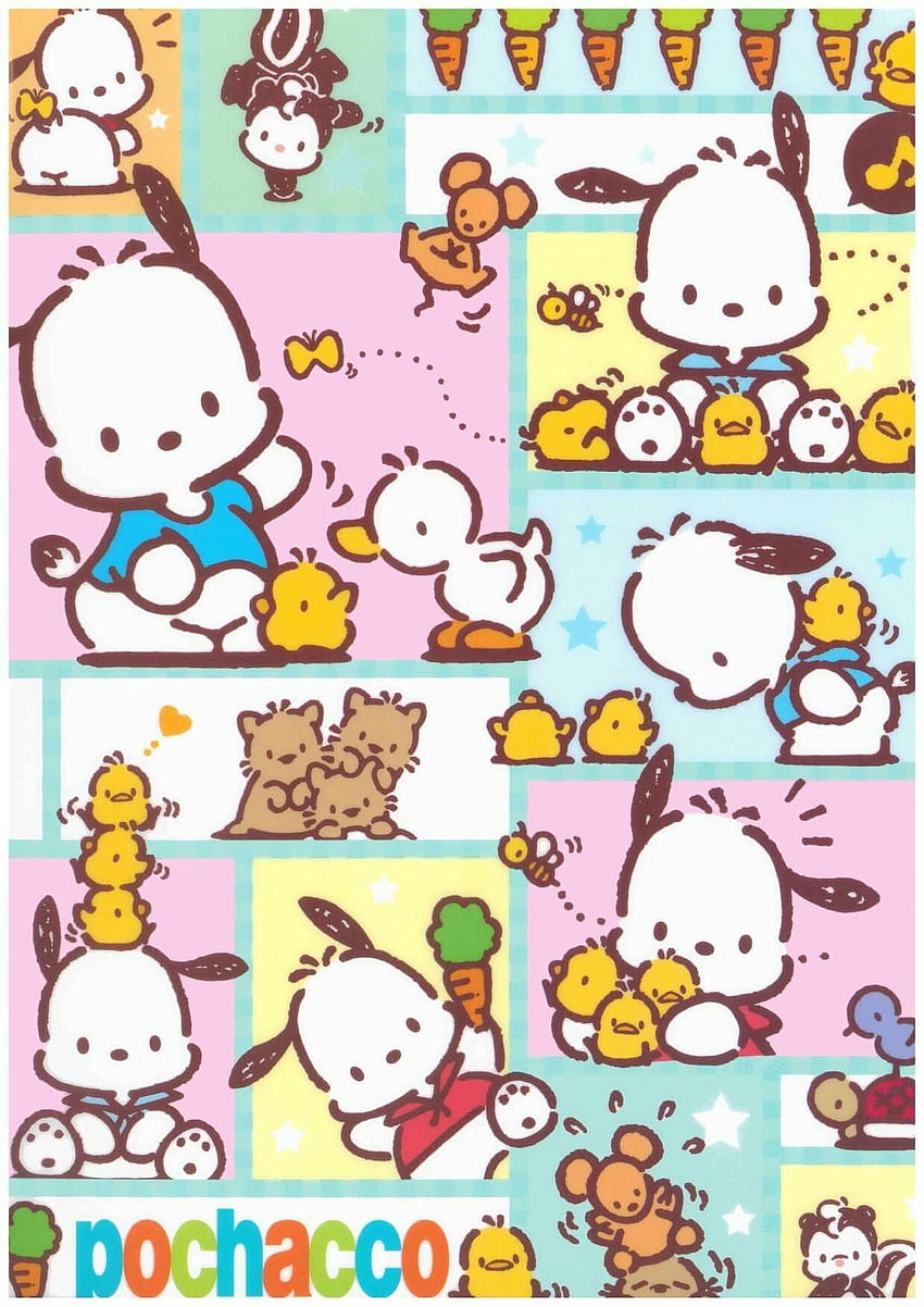 Pochacco. Hello kitty characters, Sanrio , Hello kitten HD phone wallpaper