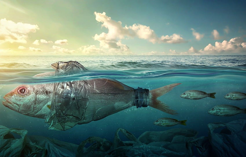 море, риба, боклук, океан, бутилка, замърсяване, риба HD тапет