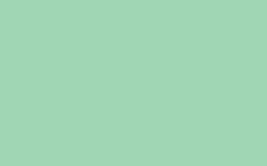 Turquoise Green Solid Color, Solid Color Textured HD wallpaper