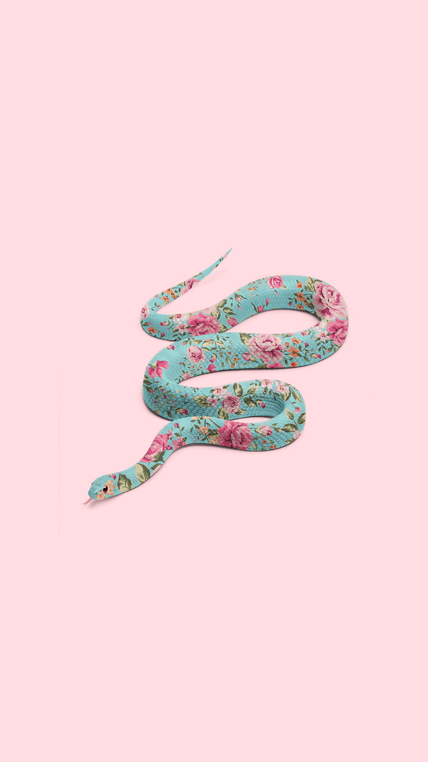 . Snake , Tumblr , Tumblr iphone, Rose Snake HD phone wallpaper