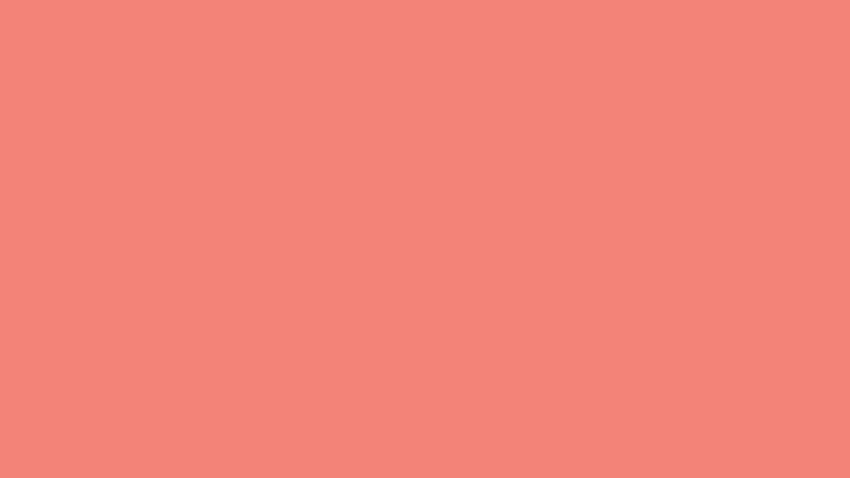 Brzoskwiniowy kolor Jednolity kolor tła: wektor, , PNG, pliki PSD, brzoskwiniowy zwykły Tapeta HD