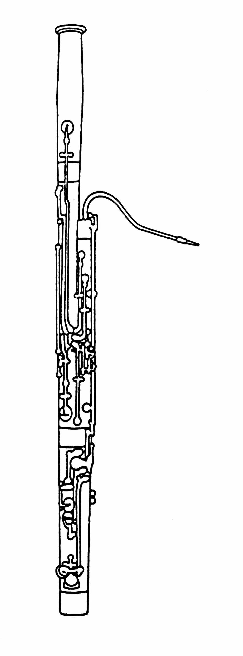 Bassoon, Oboe wallpaper ponsel HD