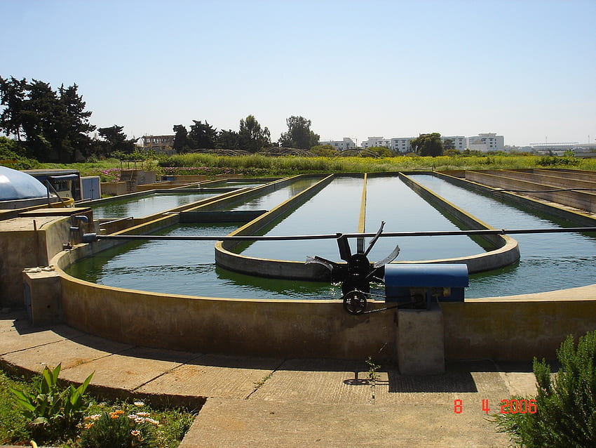 Oczyszczanie mikroglonów i ścieków, Stacja uzdatniania wody Tapeta HD