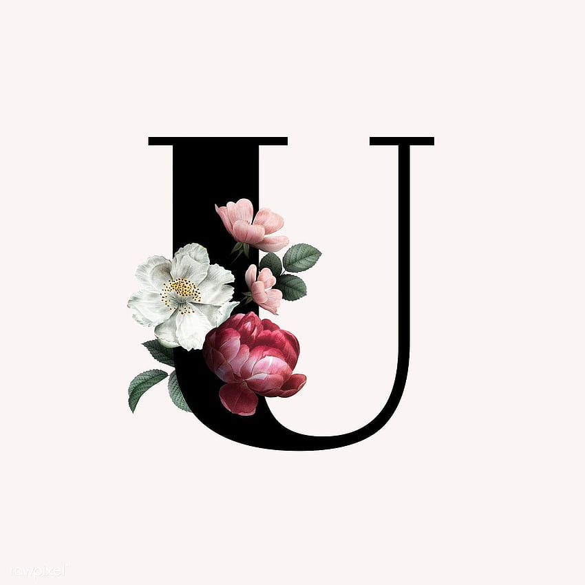 Classic and elegant floral alphabet font letter U HD phone wallpaper