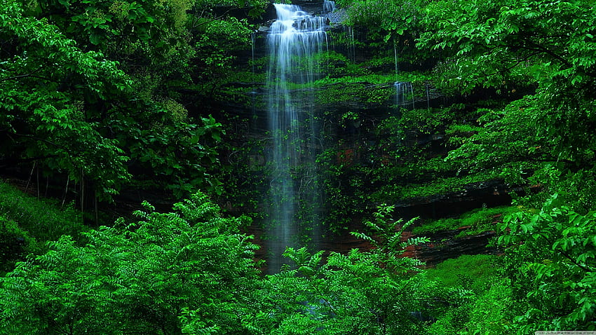 Scenic Waterfalls, tranquil waterfalls, peaceful waterfalls, relaxing waterfalls HD wallpaper