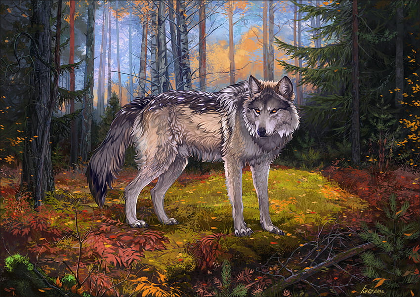 Art, Forest, Grey, Wolf, Wildlife HD wallpaper