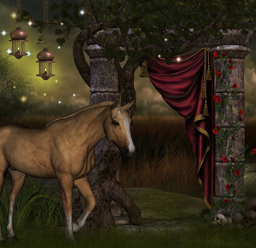 ✼Magical of Romance Goth✼, night, horse, plants, cute, goth, stars, digital Art, magical, arch, animals, trees, warm, stock , splendid, lamps, forests, beautiful, premade BG, grass, curtain, backgrounds, skulls, impressive, leaves, light, love, hang, flowers, lantern, fire, lovely HD wallpaper