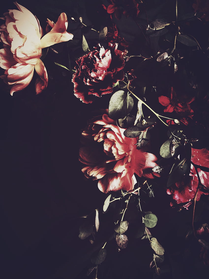 50 Dark Floral Wallpaper  WallpaperSafari