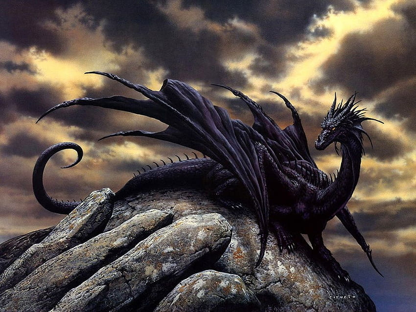 Share more than 160 black dragon anime - ceg.edu.vn