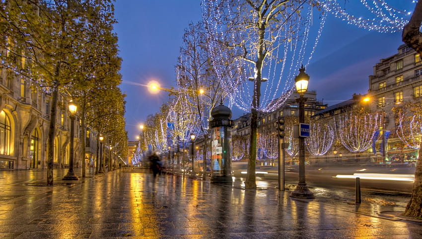 休日に照らされたパリの歩道 r、雨、都市、ライト、cobblestonesw、歩道、木、r 高画質の壁紙
