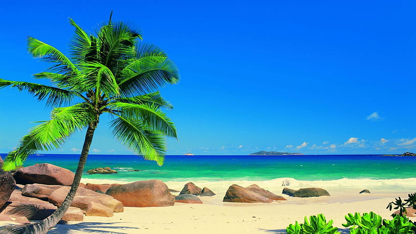 Praslin island, Seychelles, stones, beach, sea, sand, palm tree, sky HD wallpaper