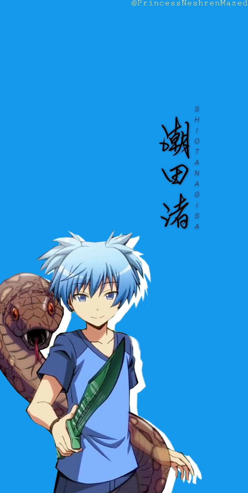 assassination classroom nagisa wallpaperTikTok Search