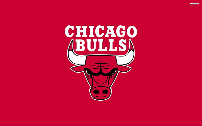 Good Chicago Bulls – This Year HD wallpaper