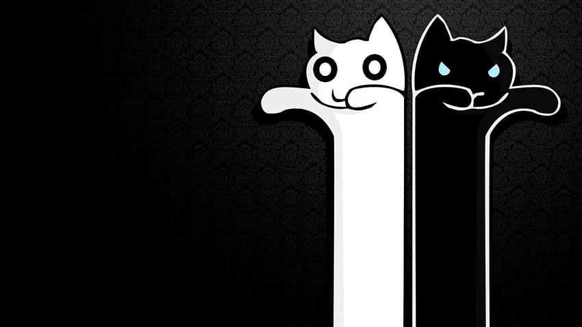 Gatos Longos Preto E Branco. Todas as galerias, Pixel Cat papel de parede HD