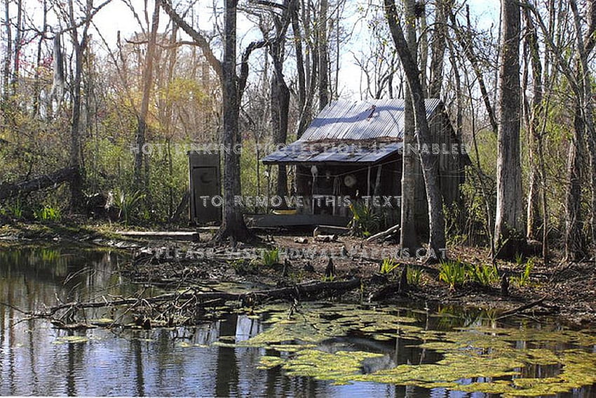 petite maison pittoresque sur le marais du bayou Fond d'écran HD