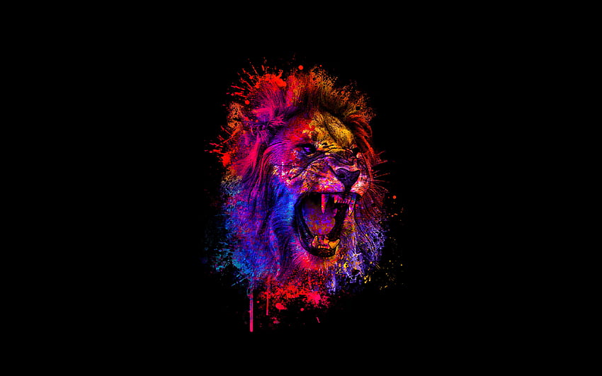 abstract lion, paint splashes, creative, minimal, artwork, black backgrounds, abstract animals, lion minimalim, lion art, lion HD wallpaper