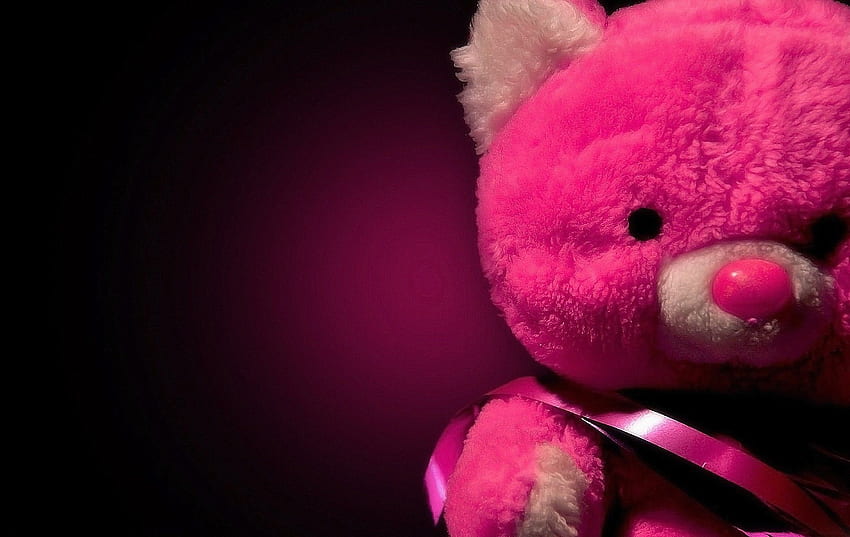 Looking for Teddy Bear With Flowers In Pink Colour, Get HD wallpaper