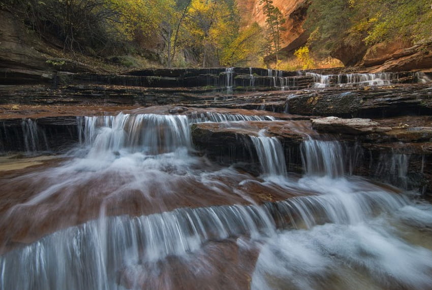 Cascate nel Parco nazionale di Zion, fiume, torrente, foglie, autunno, acqua Sfondo HD