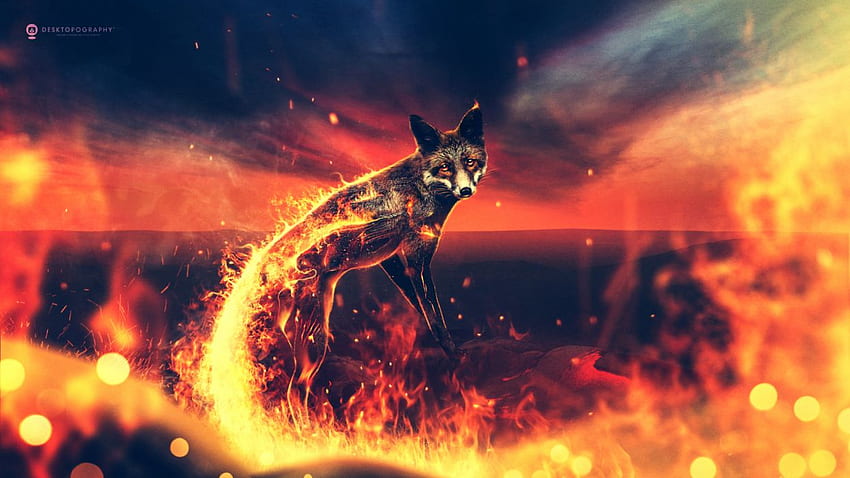 Animals foxes fire retouching . . 1354770. UP HD wallpaper