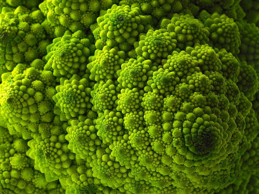 Kembang Kol Brokoli Romanesco - Brokoli Romanesco Wallpaper HD