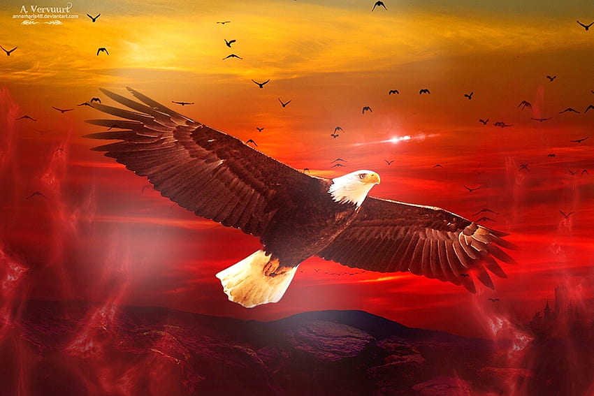 Voo da Águia, subindo, magnífico, águia, voo, arte digital, lindo, vermelho, céu, pôr do sol papel de parede HD