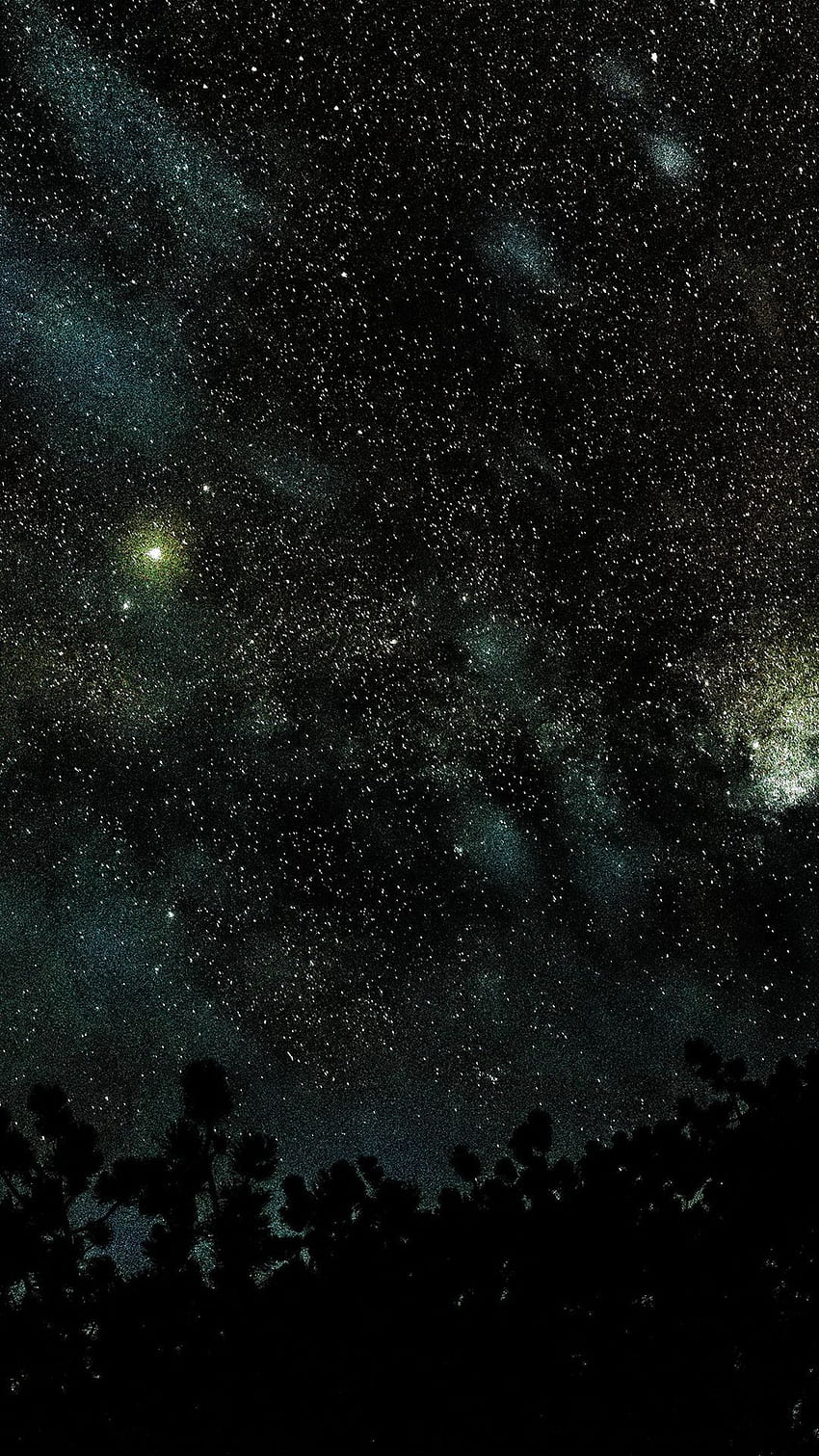 Weltall Stern Nachthimmel Herbst Natur Holz Dunkelblau HD-Handy-Hintergrundbild