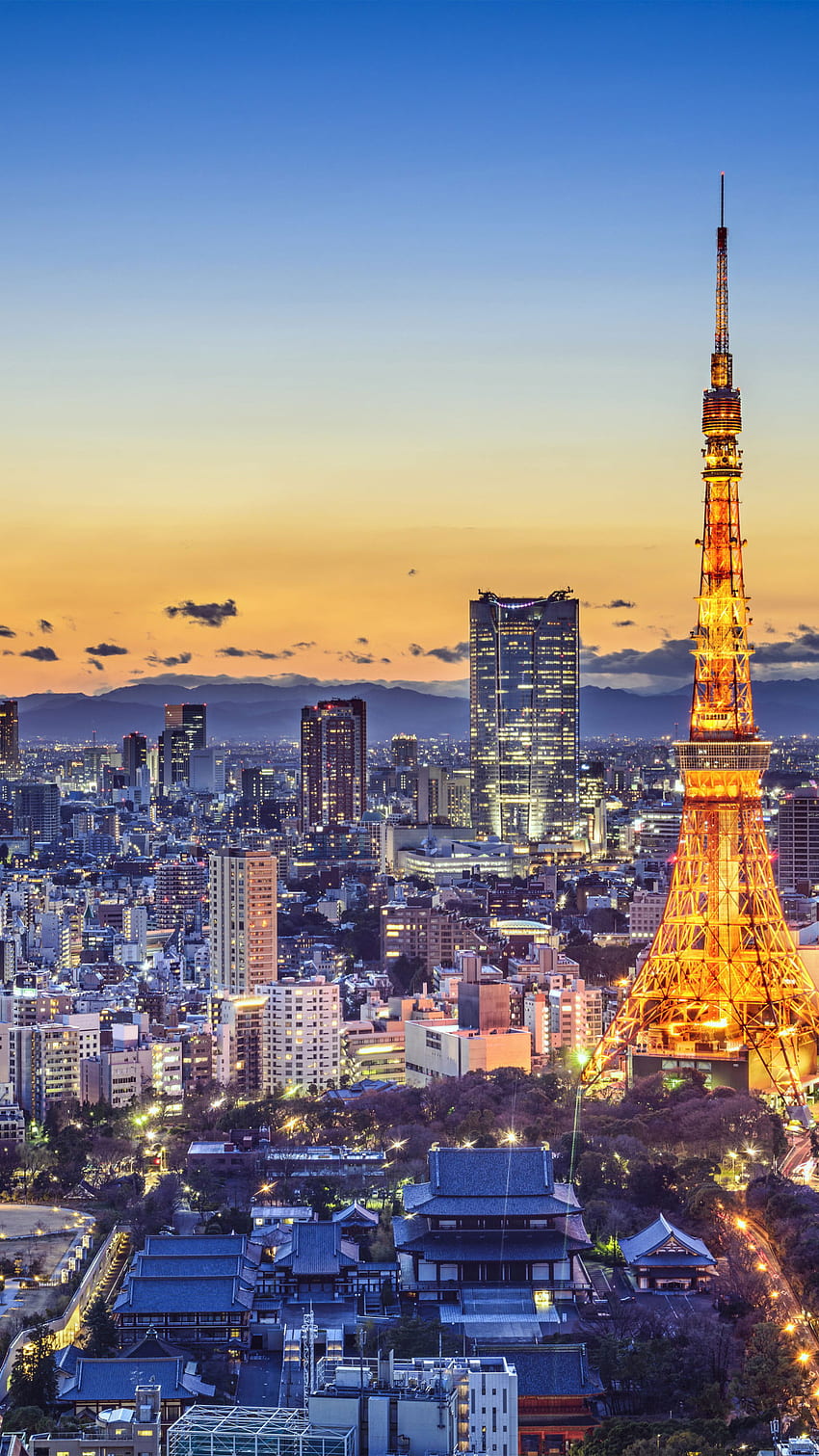 Potret Kota Paris , Tokyo, Jepang, Tokyo, Jepang, Tokyo Jepang • Untuk Anda, Potret Tokyo wallpaper ponsel HD