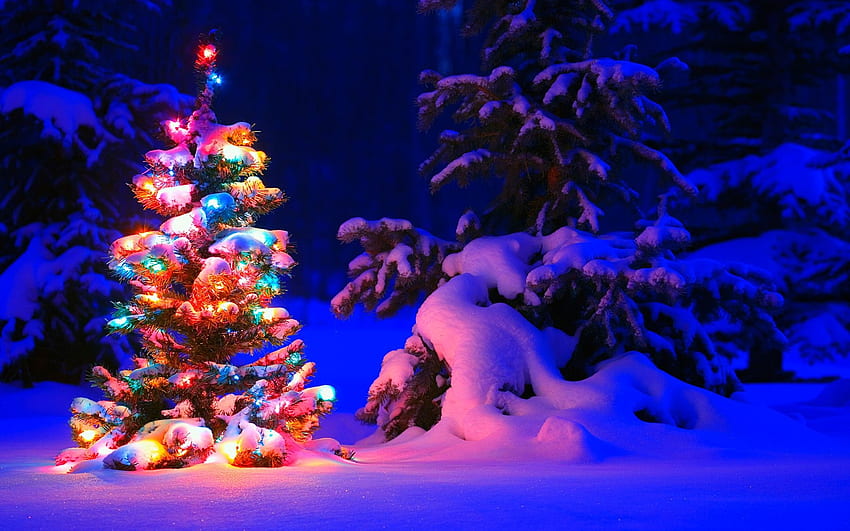 Snowy Christmas Tree Lights in jpg format for HD wallpaper