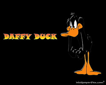75 Daffy Duck Wallpapers  WallpaperSafari