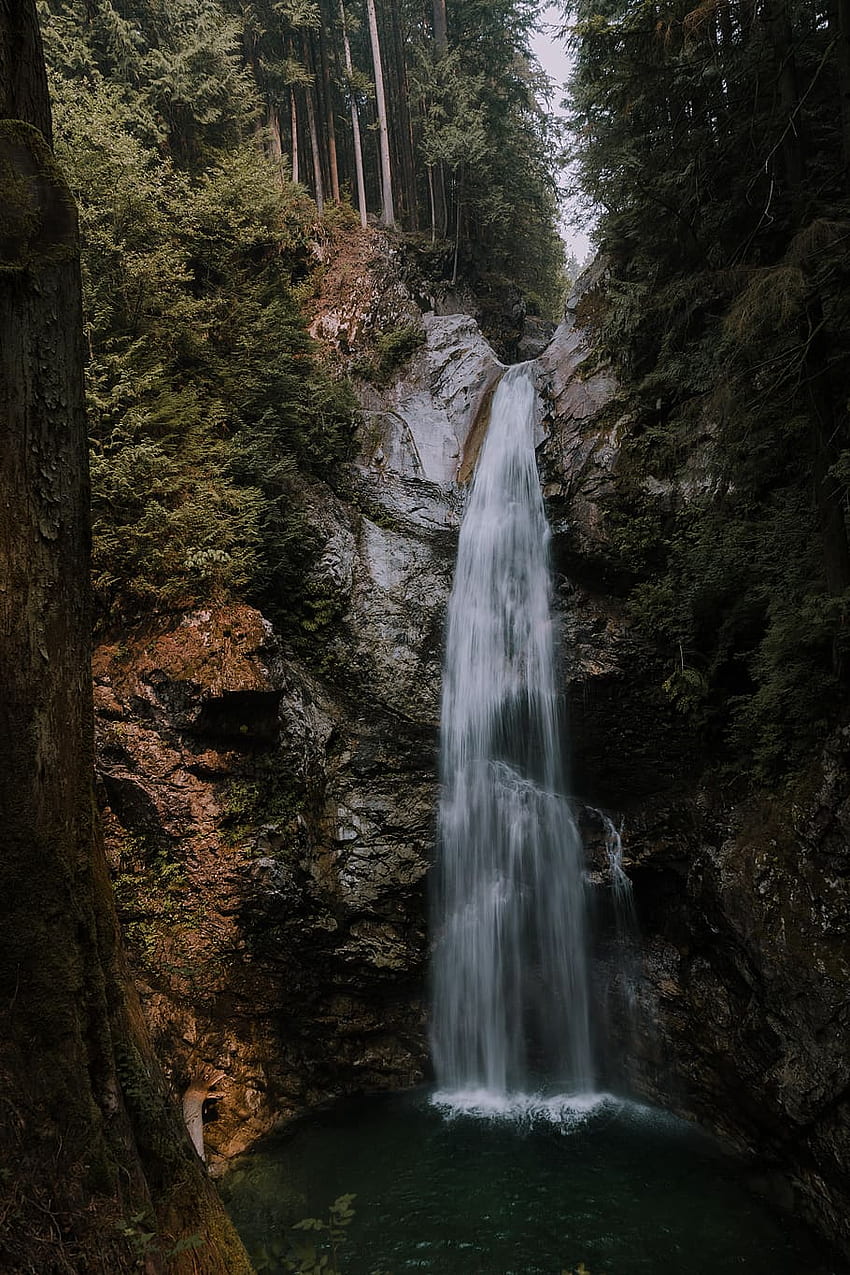 canada, cascade falls trail, vertical, , , dreamy, misty, creation, CC0, public domain, royalty, Misty River HD phone wallpaper