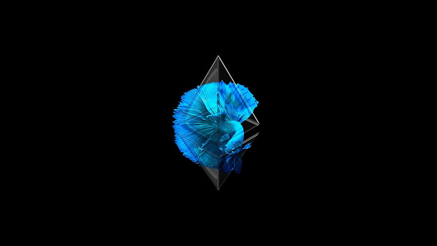 Eth Make any into an Eth Ethereum HD wallpaper  Pxfuel