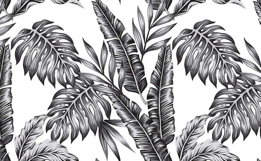 Palm Leaves Tropical for Walls. Retro Palms Black, Black and White Leaf HD wallpaper