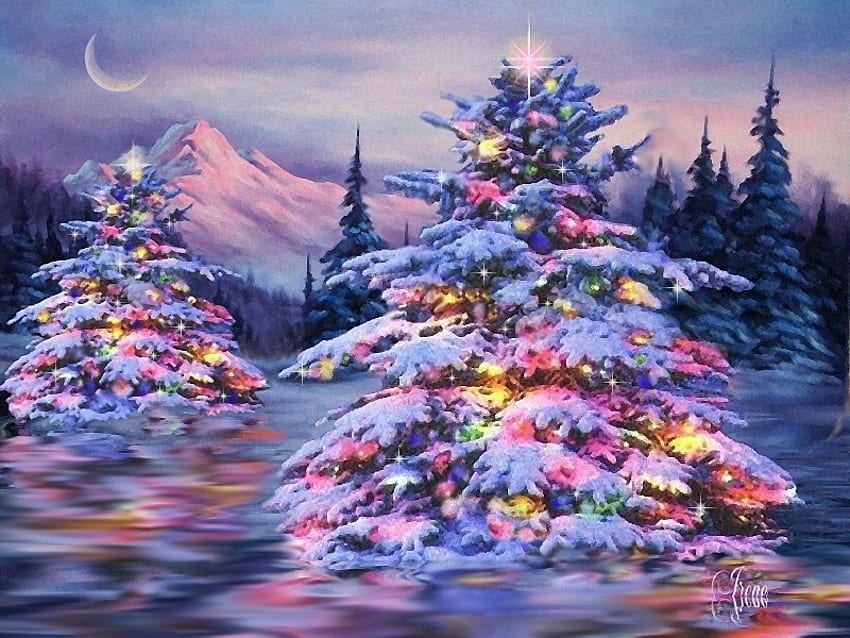 Коледна елха, зима, празник, светлина, сняг, коледа, дърво HD тапет