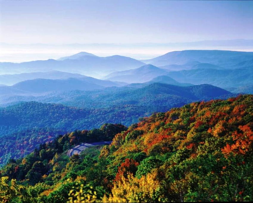 Blue Ridge Mountains, azul, colinas, espectacular, blue ridge, niebla, árboles, cielo, montañas, bosque fondo de pantalla