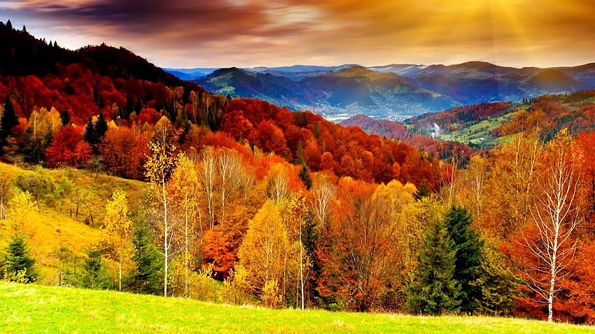 Forest Autumn Valley Mountains For HD wallpaper | Pxfuel