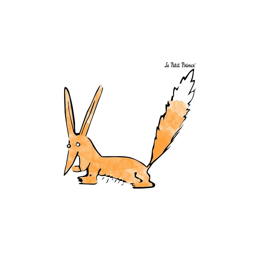 Le Petit Prince: Cosa dice la volpe?, The Little Prince Fox Sfondo del telefono HD