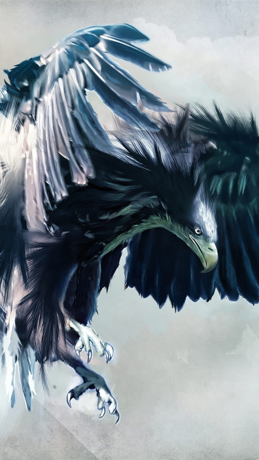 Schwarzer Adler, schwarzer Adler HD-Handy-Hintergrundbild