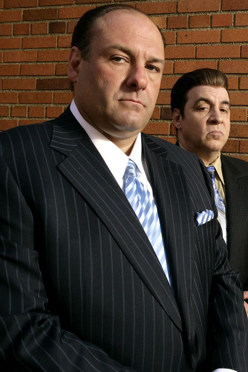 The Sopranos, Tony Soprano, Main Characters - Tony HD phone wallpaper