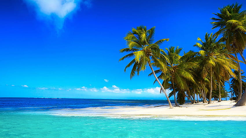 Vue paysage de palmiers Ocean Waves Beach Sand sous ciel bleu pendant la journée Nature Fond d'écran HD