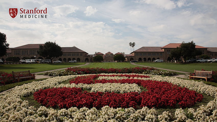 Zoom Virtual Background. Stanford Center for Continuing Medical Education, Stanford University HD wallpaper