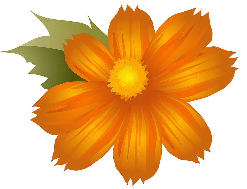 Orange Flower Transparent, Orange Flower Transparent png , ClipArts on Clipart Library, Естетични карикатури с цветя HD тапет