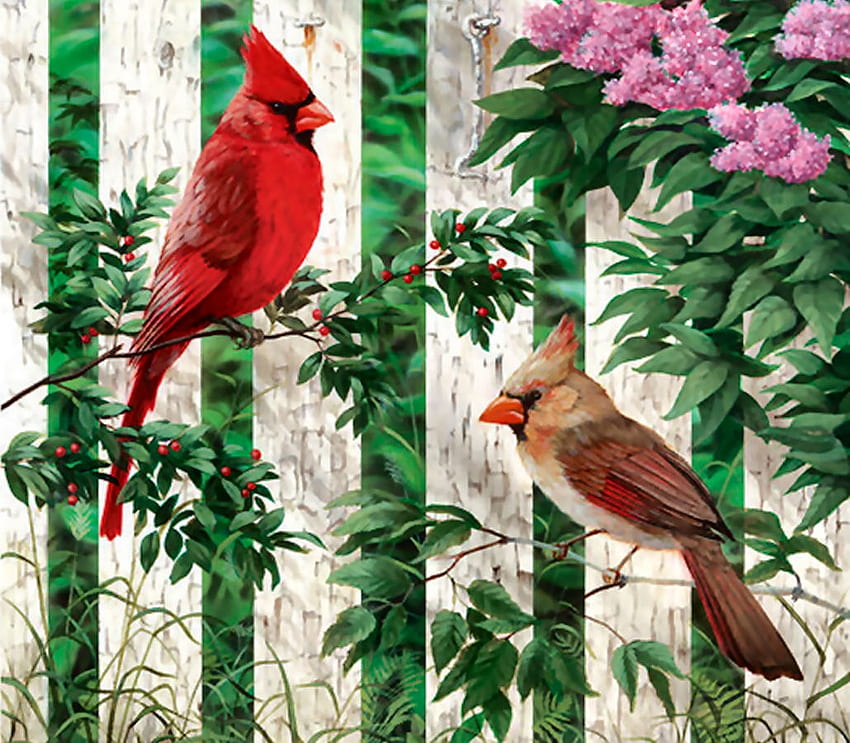 Picket Fence FC, animal, songbirds, bird, art, picket fence, beautiful, illustration, avian, artwork, wildlife, painting, flowers, cardinals HD wallpaper