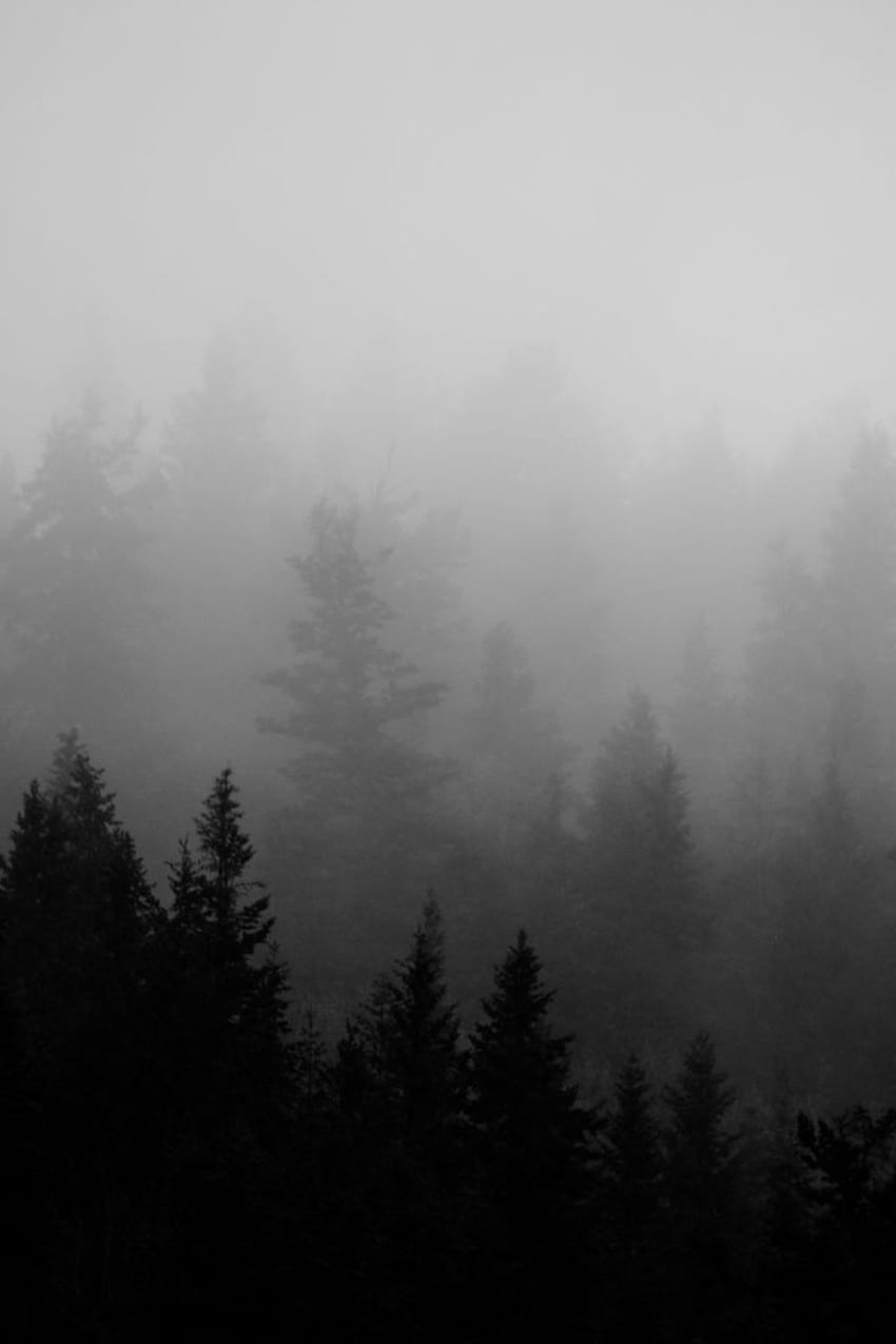 Мистериозни пейзажи. най-добрият облак, скала, мъгла и гора. Горско изкуство, рисунка на борово дърво, пейзаж, черна облачна гора HD тапет за телефон
