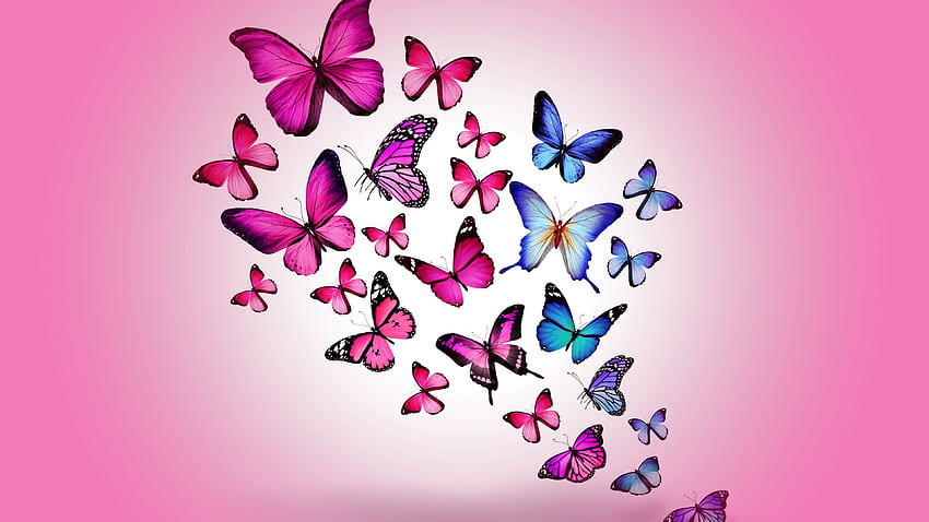 Rosa Mariposa Ala Mujer PNG ,dibujos Pink Butterfly, Mujer Mariposa, Mujer  Rosa PNG y PSD para Descargar Gratis