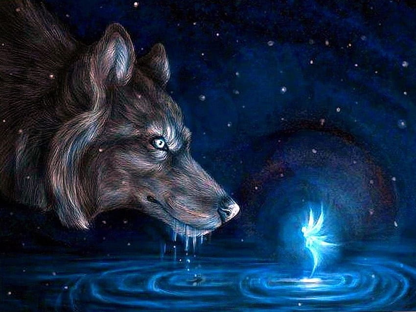 Wolf And Fairy Wolf .pro, Fairies and Wolves HD wallpaper | Pxfuel