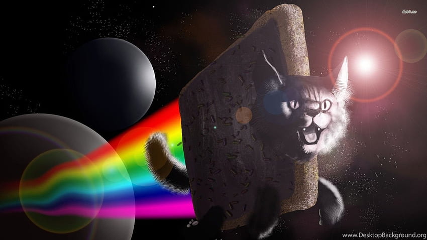 Nyan Cat Flying Away From The Planet Meme . Background, 3D Space Cat HD ...