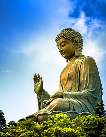 2 - Hd Wallpaper Lord Buddha Transparent PNG - 628x720 - Free Download on  NicePNG