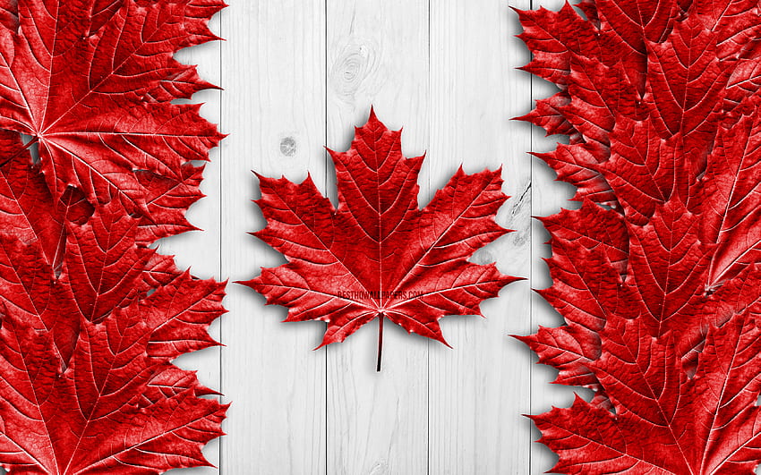 Canadian flag, , realistic red leaves, North American countries, Day of Canada, Flag of Canada, national symbols, Canada flag, 3D flags, Canadian wooden flag, North America, Canada HD wallpaper